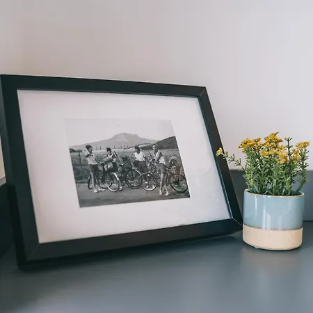 Balatoni Est 度假居 巴拉顿诺尔马迪